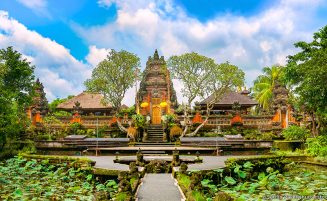 Ubud Private Day Tour