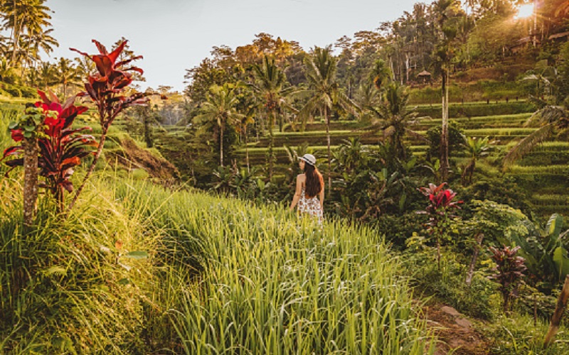 Ubud Kintamani Tour | Village Countryside Bali | Best Bali Full Day ...