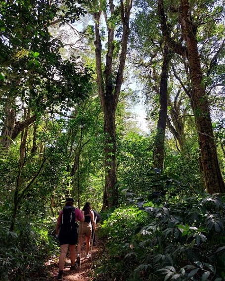 tamblingan jungle trek
