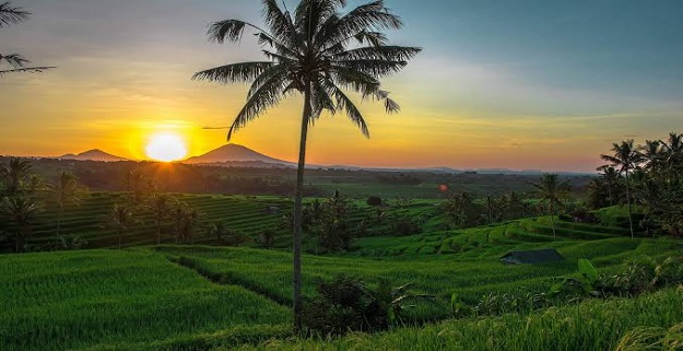 jatiluwih sunrise
