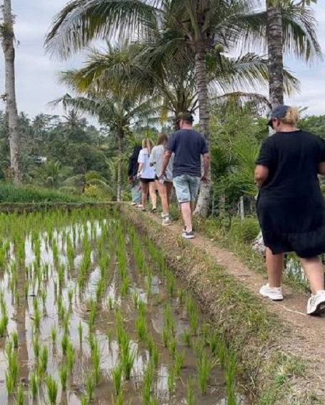 jatiluwih trekking