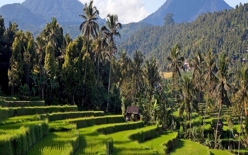 munduk
